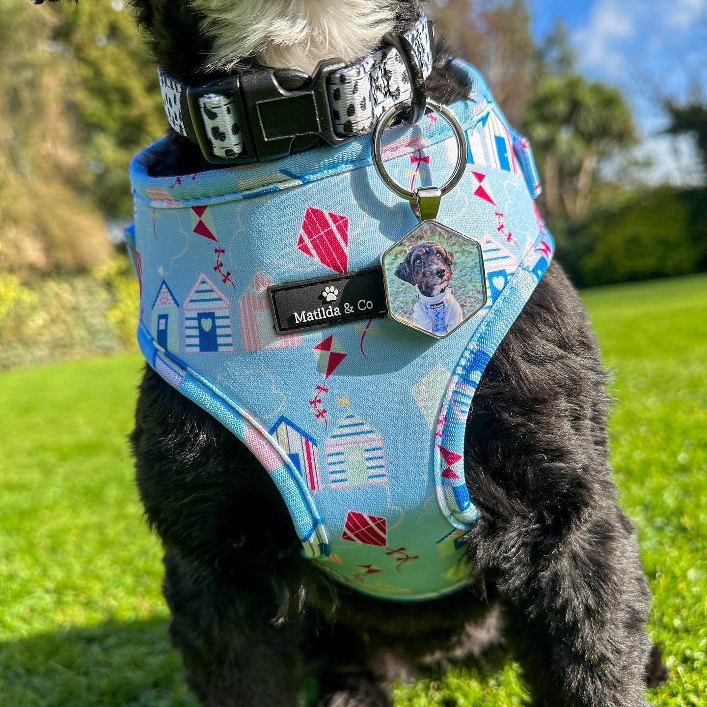 Little Sally's new volg with DISONTAG NEW SOCIAL STICKER!