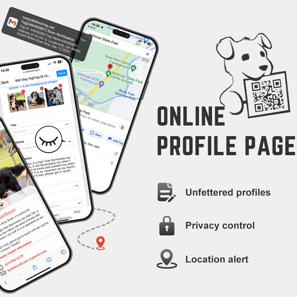The Rise of QR Code Pet ID Tags in Modern Pet Safety