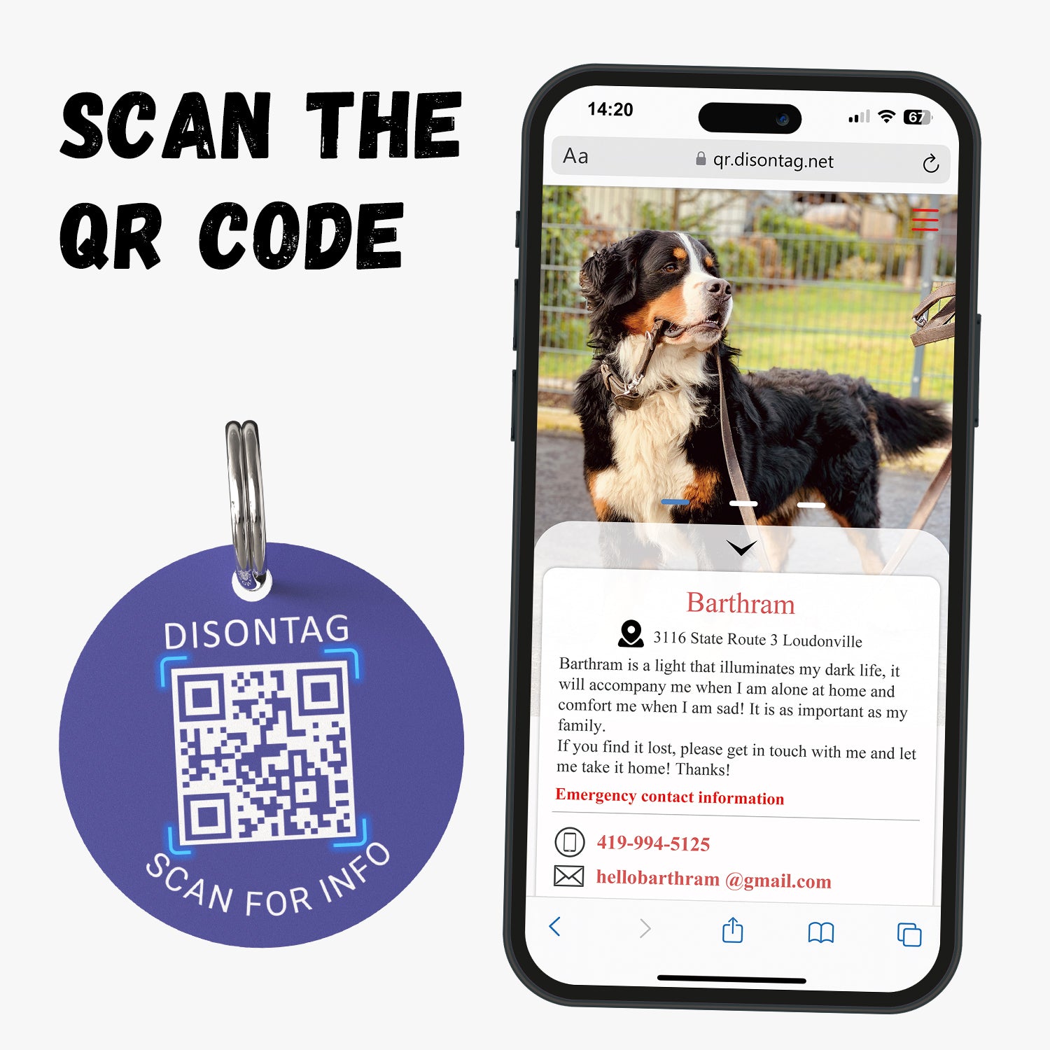 PVC QR pet tag- "LET'S PLAY"