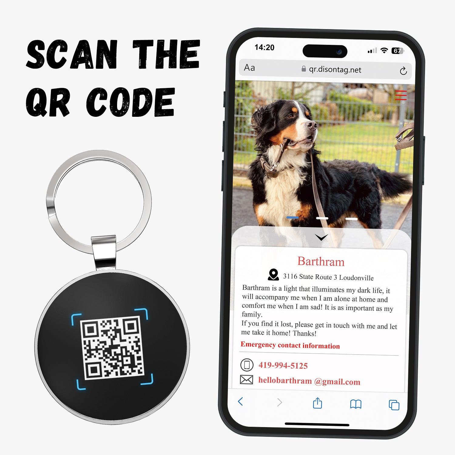 QR code pet tag Pet paws-NO.150610
