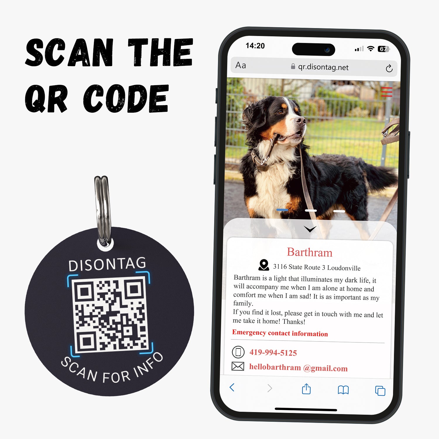 PVC QR pet tag- "ADVENTURE"