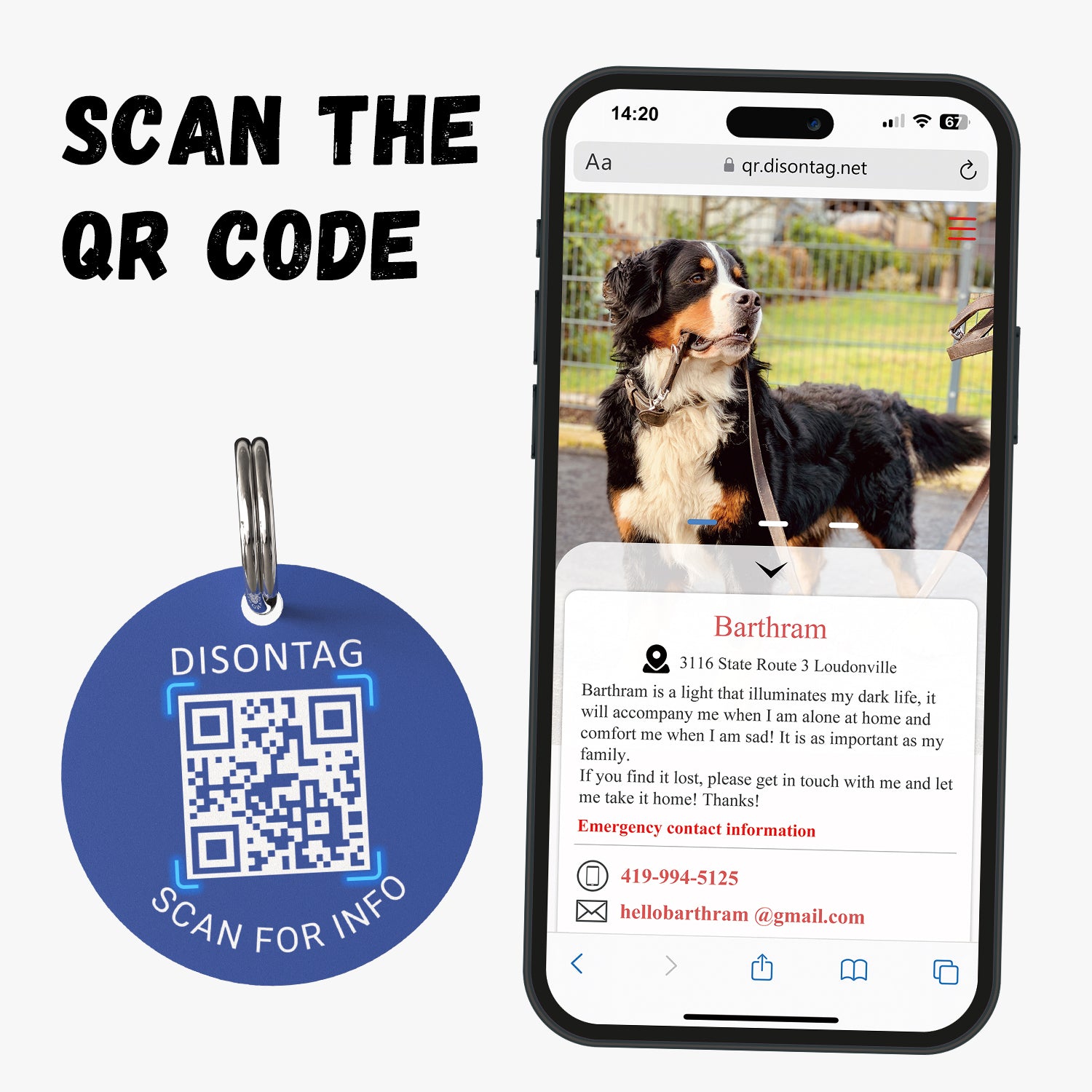 PVC QR pet tag-"GOOD BUDDY"