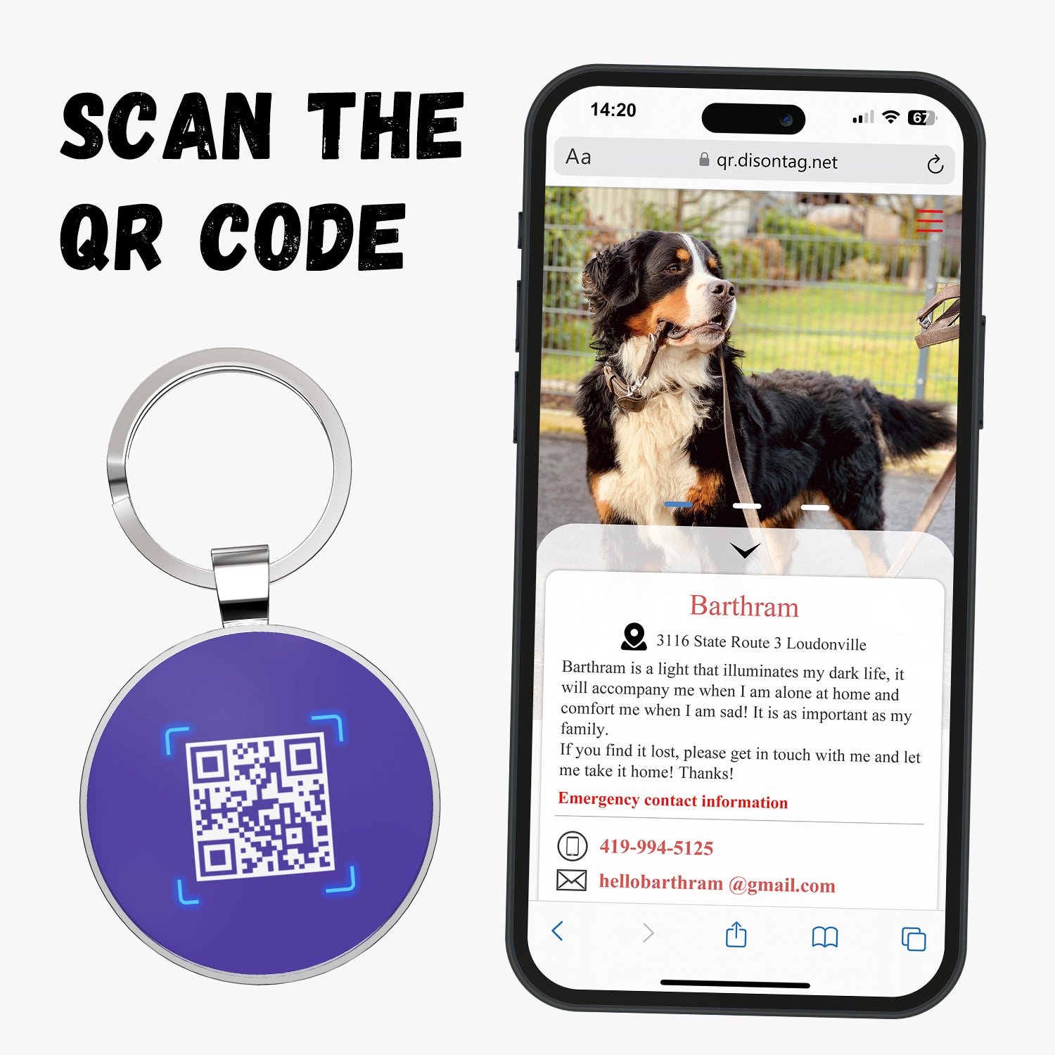 QR code pet tag Colorful text-NO.170903