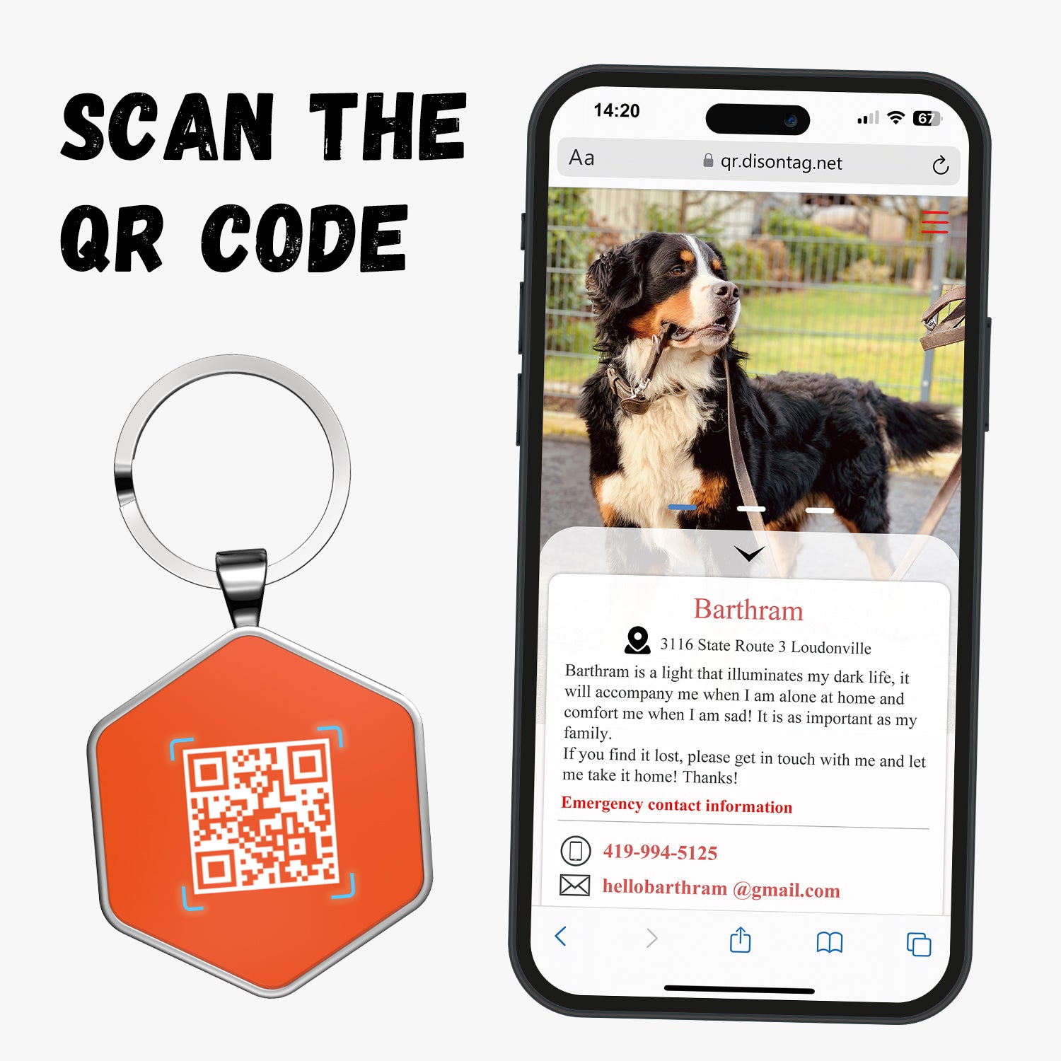QR code pet tags-NO.150620