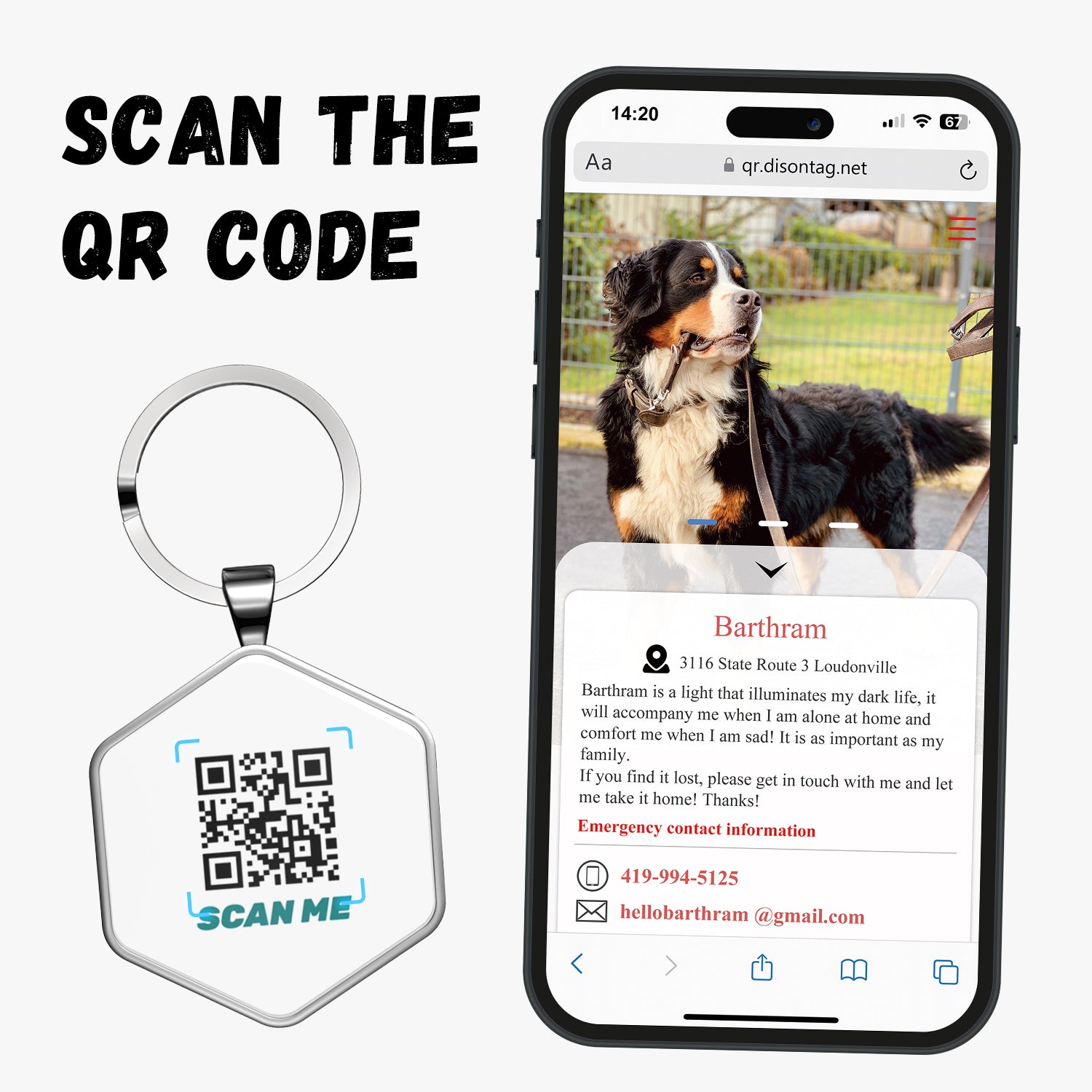 QR code pet tag Adventure tour-NO.160914