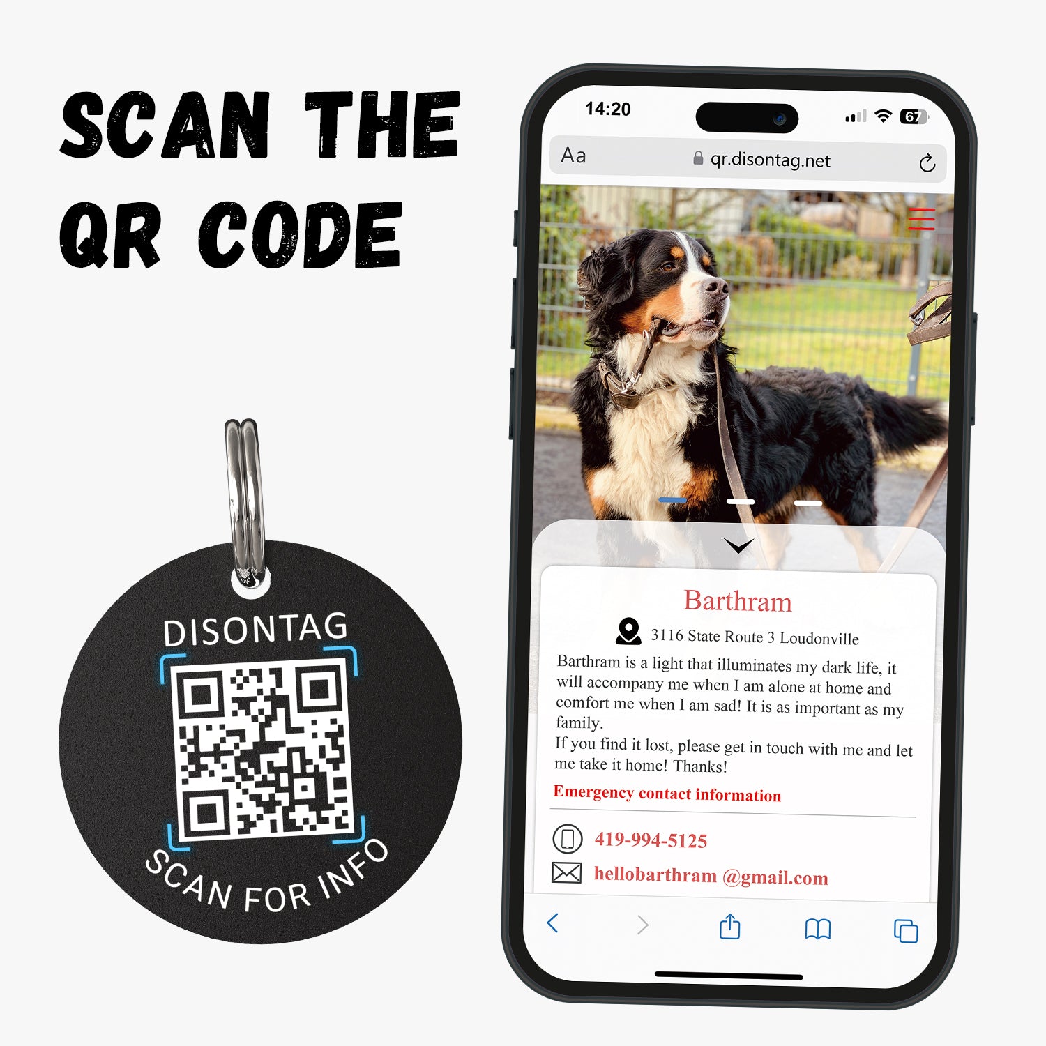 PVC QR pet tag-"CALL MY DAD"