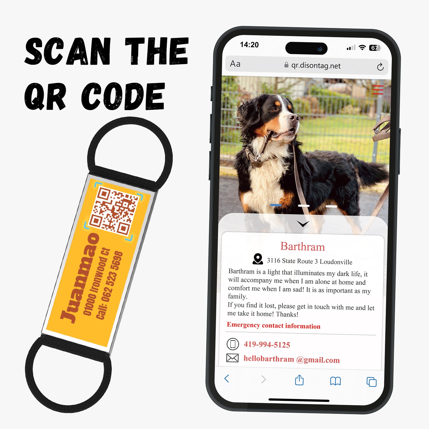 QR code pet tag silent-no more jingle-NO.130907