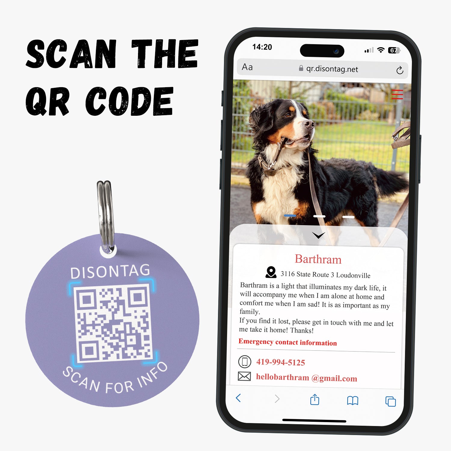 PVC QR pet tag-DIAMOND LATTICE