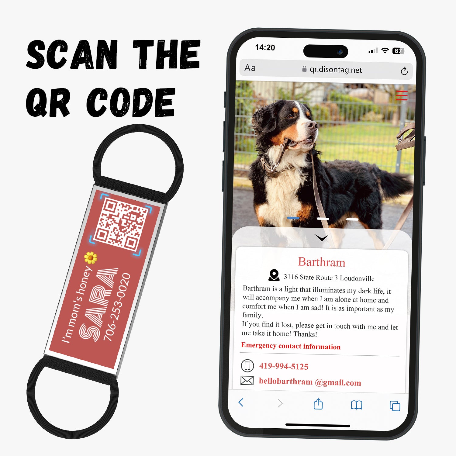 QR code pet tag silent-no more jingle-NO.130903