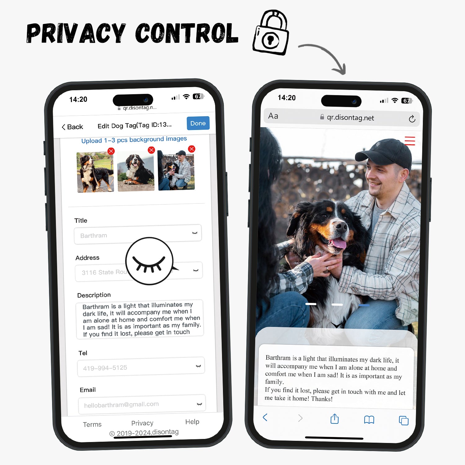 Alloy ID QR code pet tag-Interstellar Rainbow