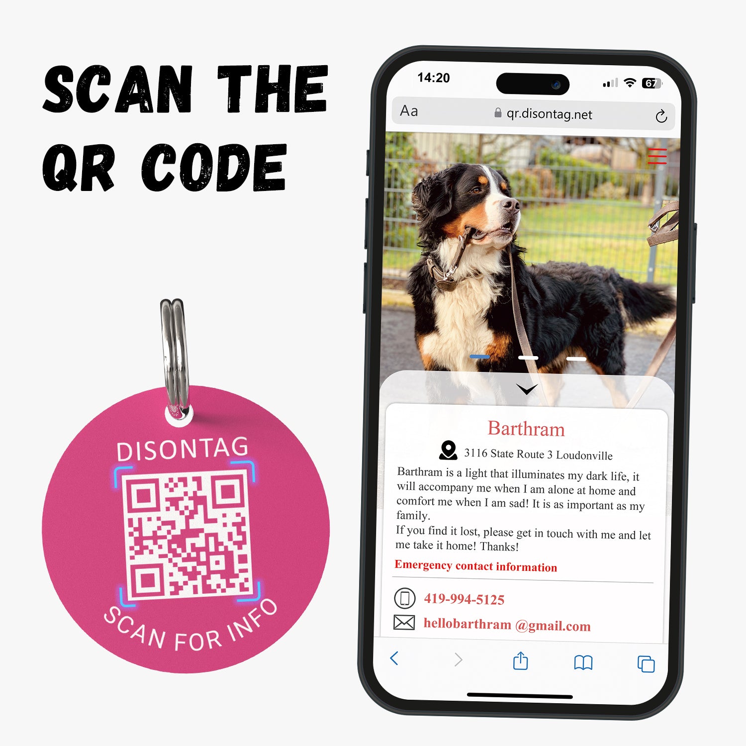 PVC QR pet tag-"CUTE BUT PSYCHO"