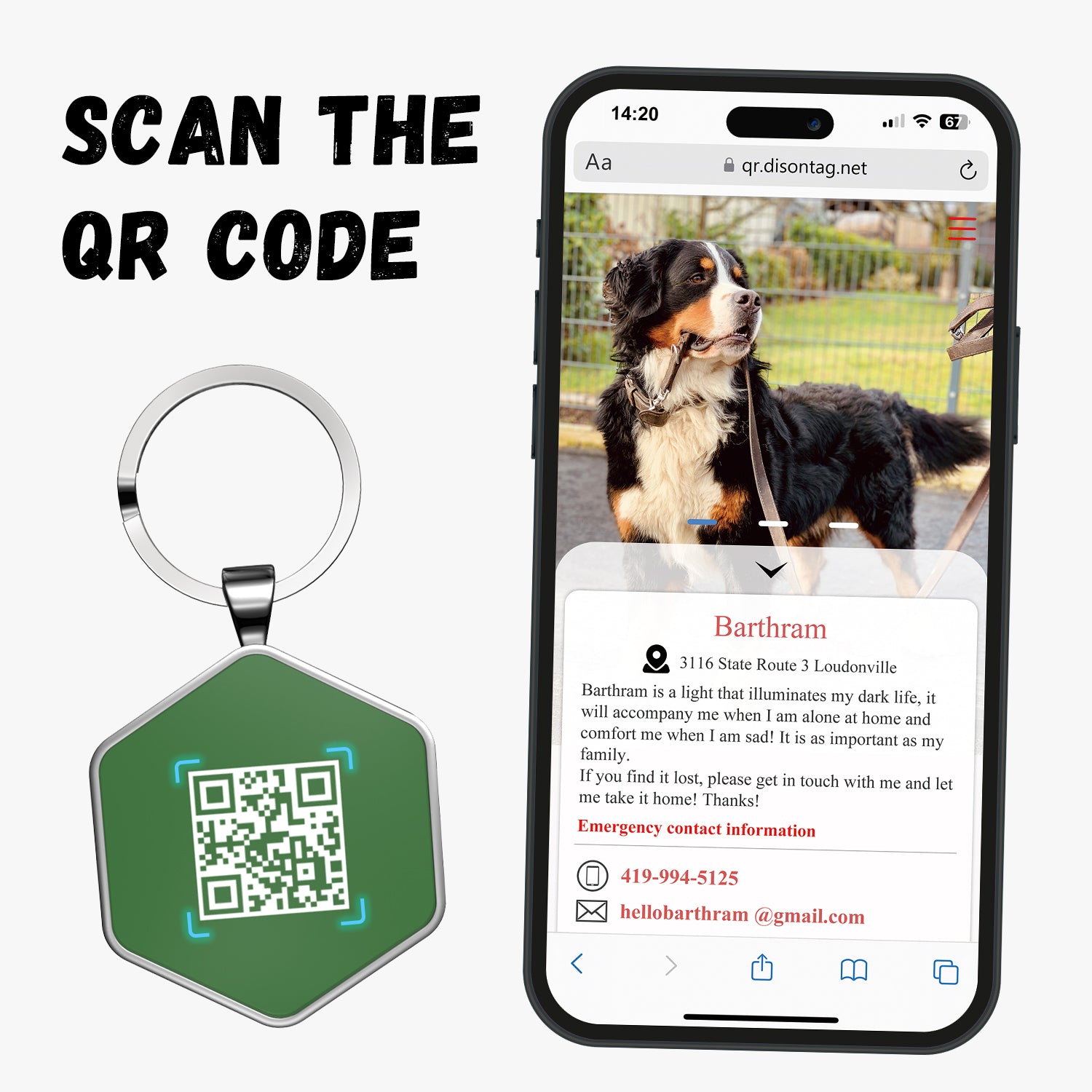 QR code pet tag Colorful text-NO.170912