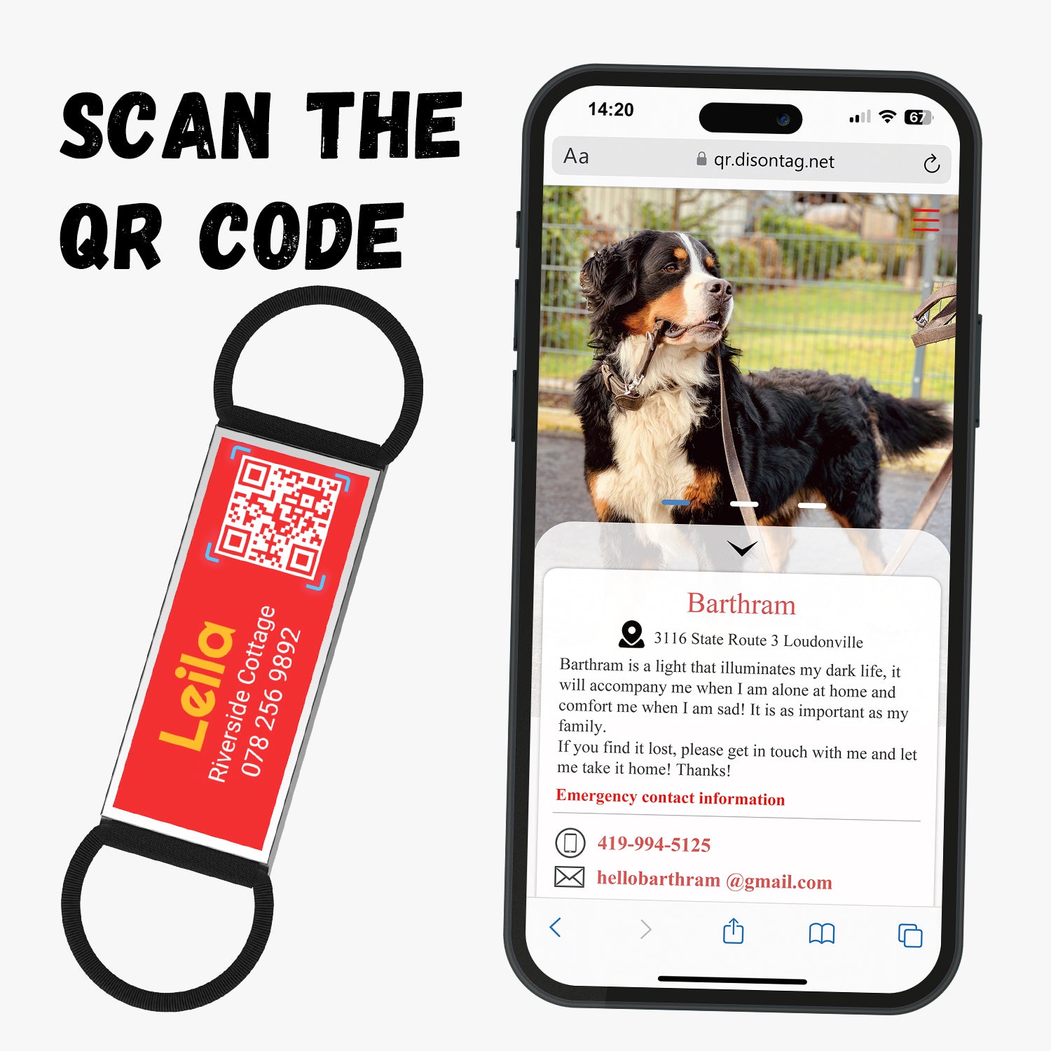 QR code pet tag silent-no more jingle-NO.130905