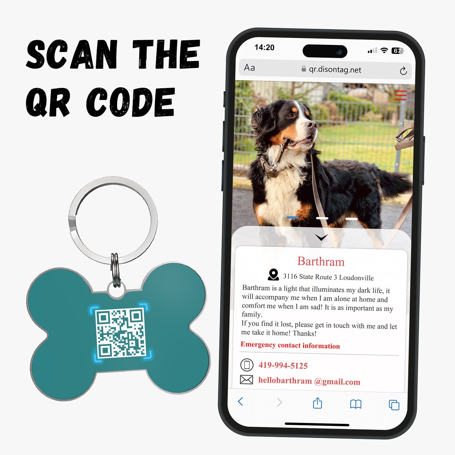 QR code pet tags-NO.150625