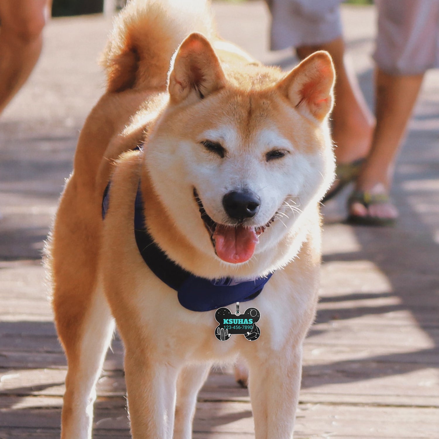 QR code pet tag Colorful text-NO.170928