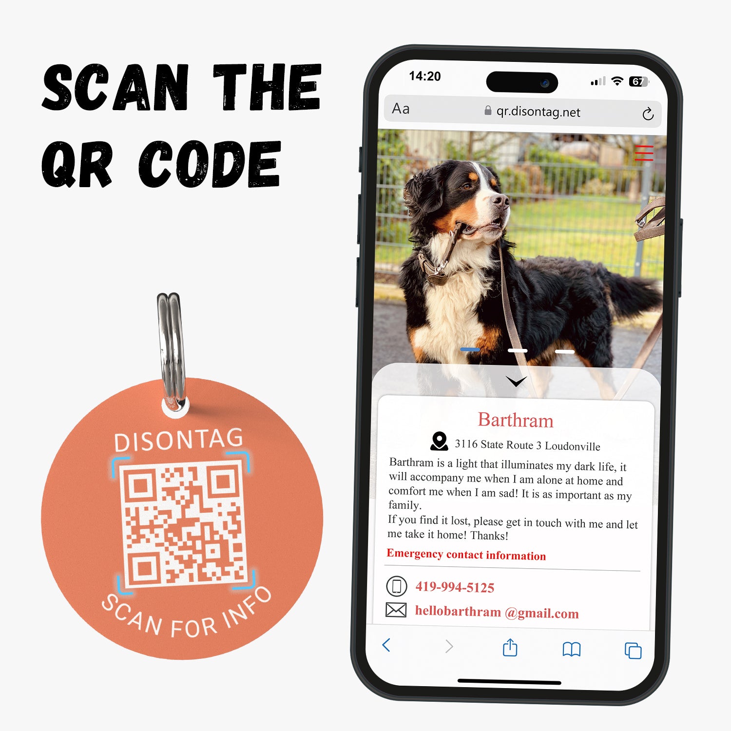 PVC QR pet tag-"DAISY"