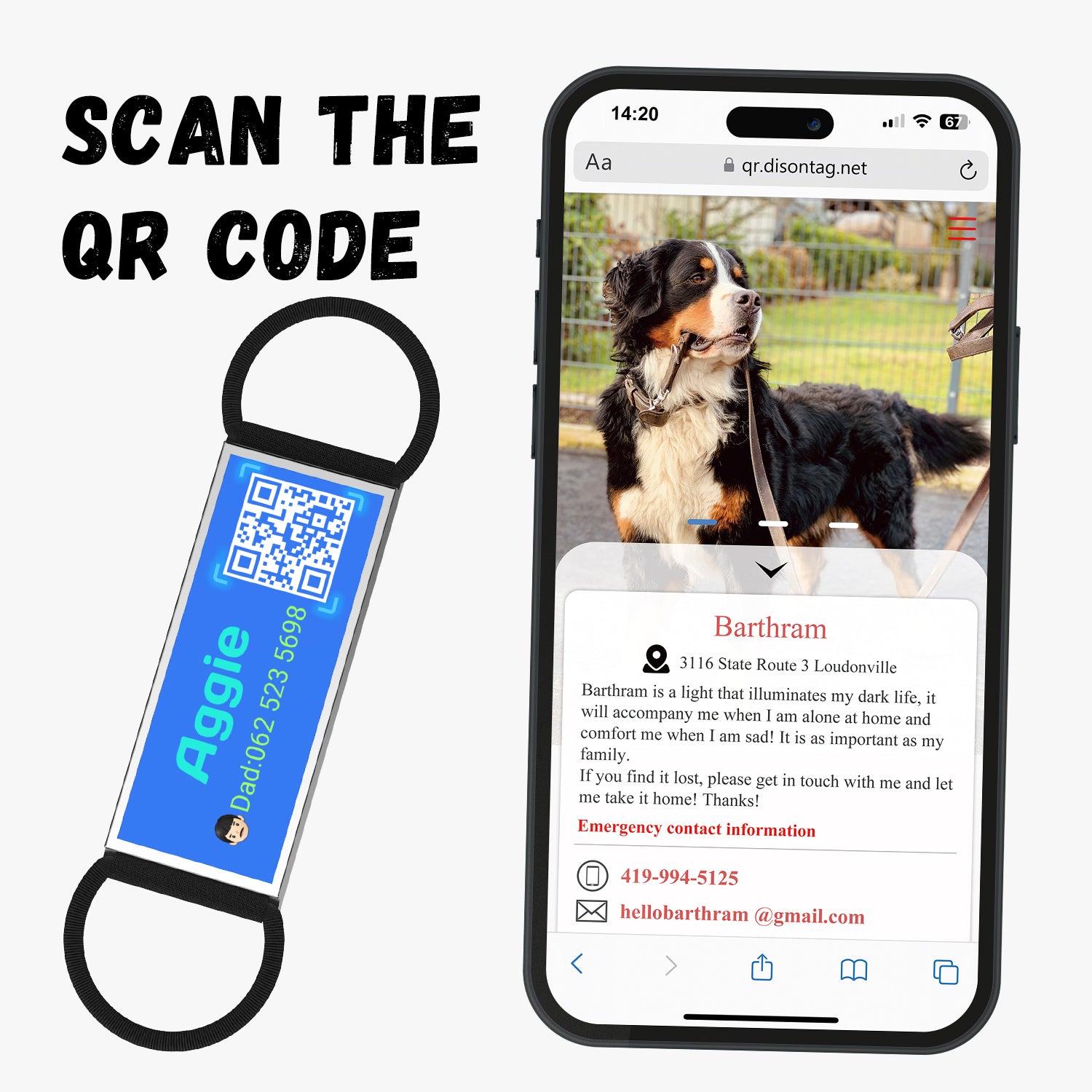 QR code pet tag silent-no more jingle-NO.130906