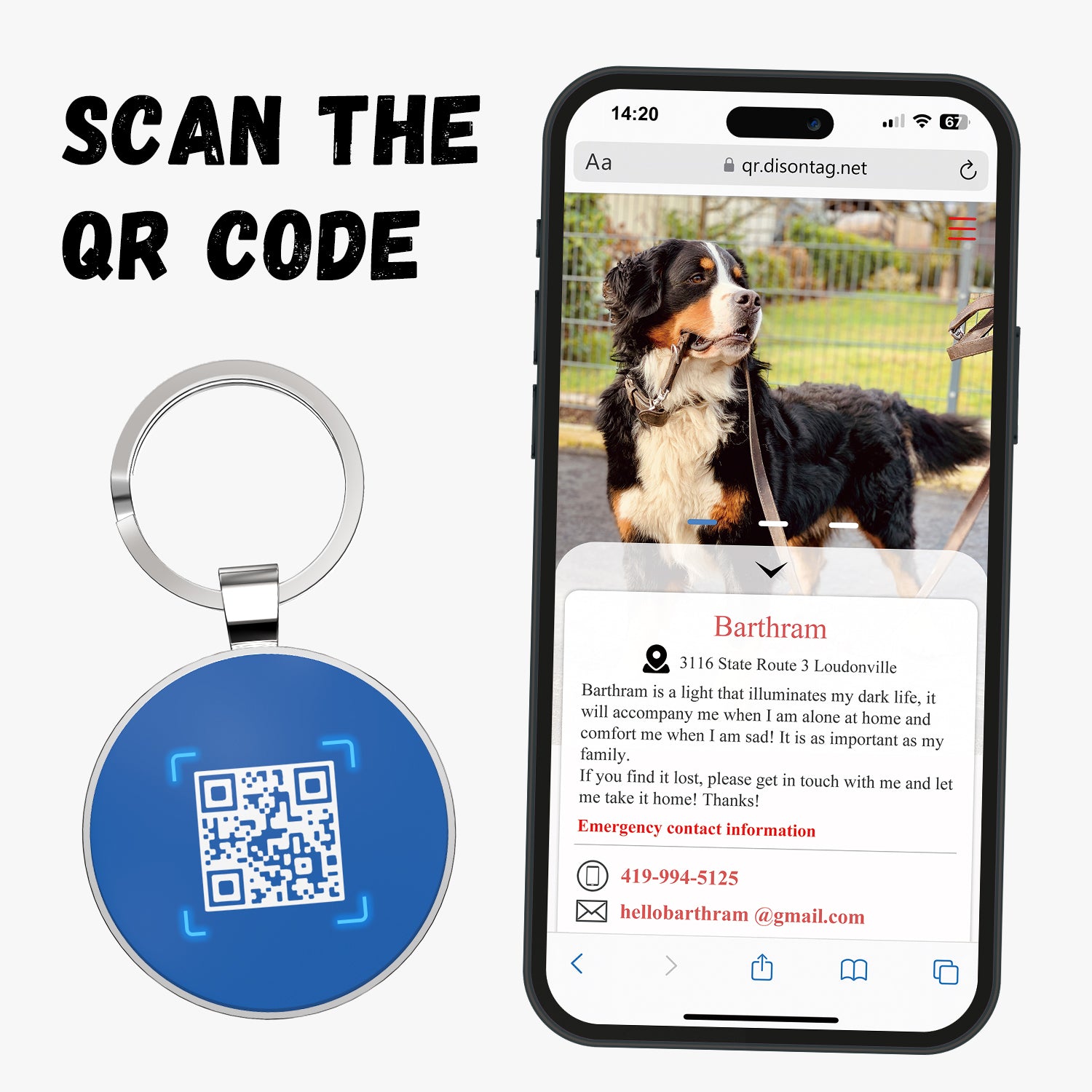 QR code pet tags-NO.150628