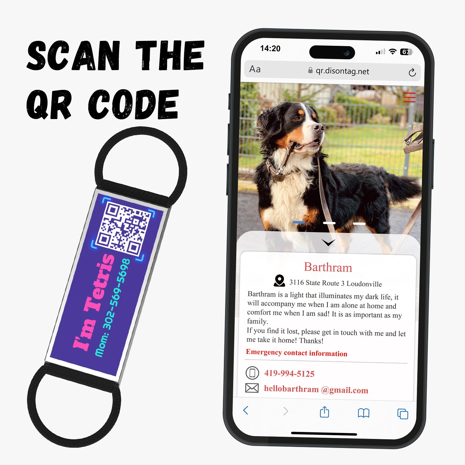 QR code pet tag silent-no more jingle-NO.130904