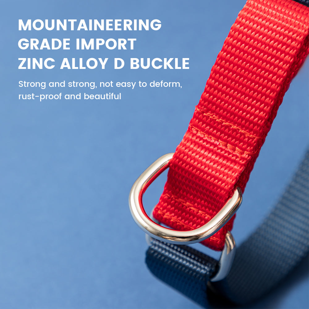 DISONTAG nylon pet collar with exclusive QR code, explosion-proof rushed + quick release buckle (Blue)