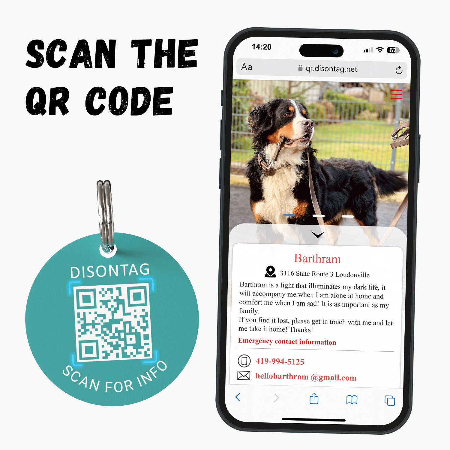 PVC QR pet tag- "YASS QUEEN"