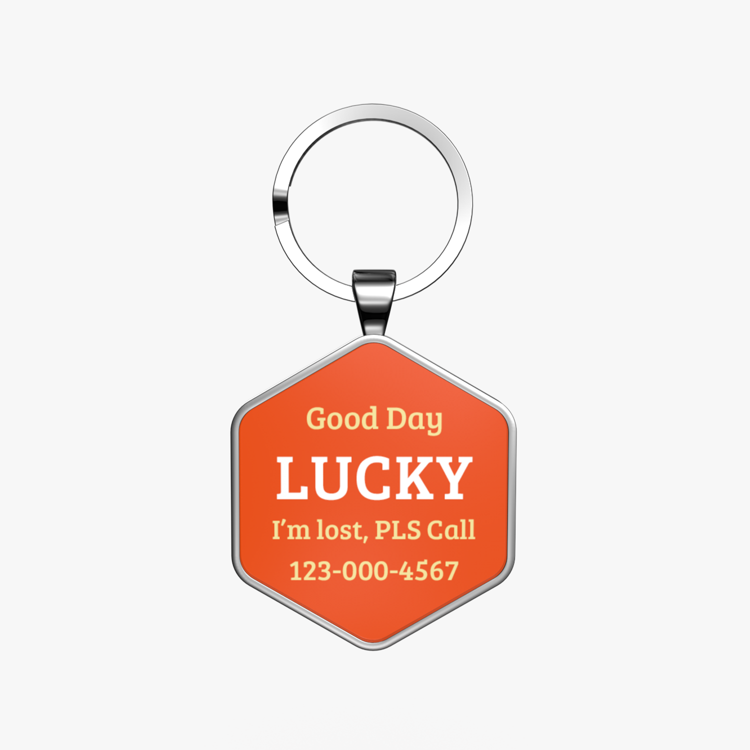 QR code pet tag Colorful text-NO.170911