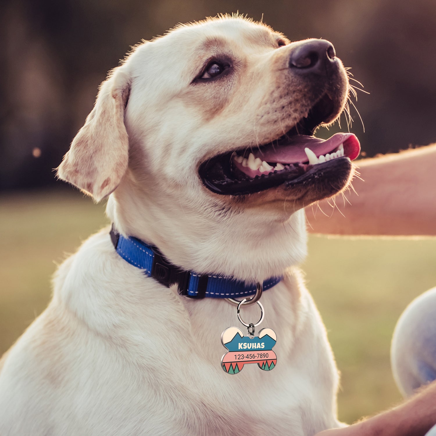 QR code pet tag Colorful text-NO.170926