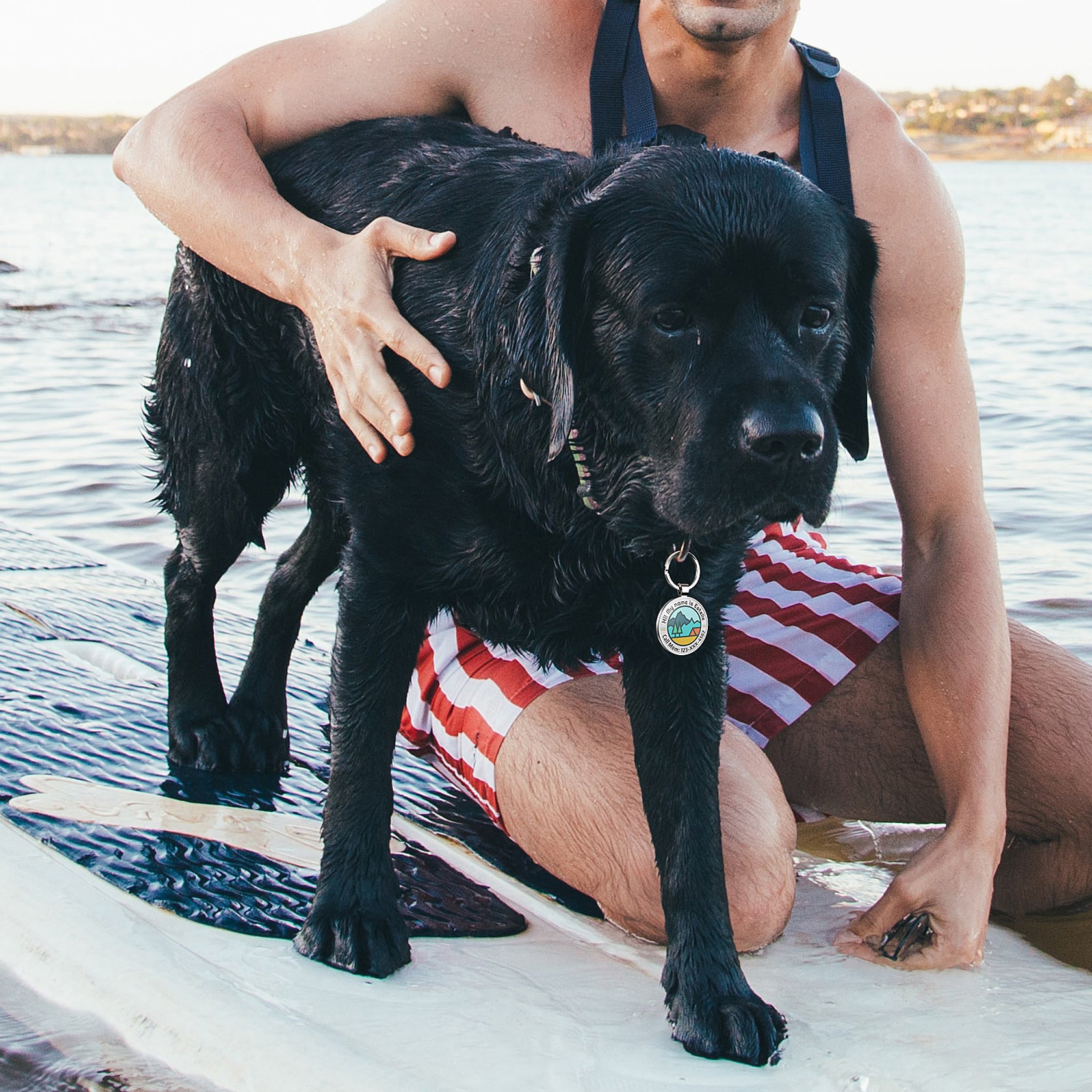 QR code pet tag Adventure tour-NO.160906