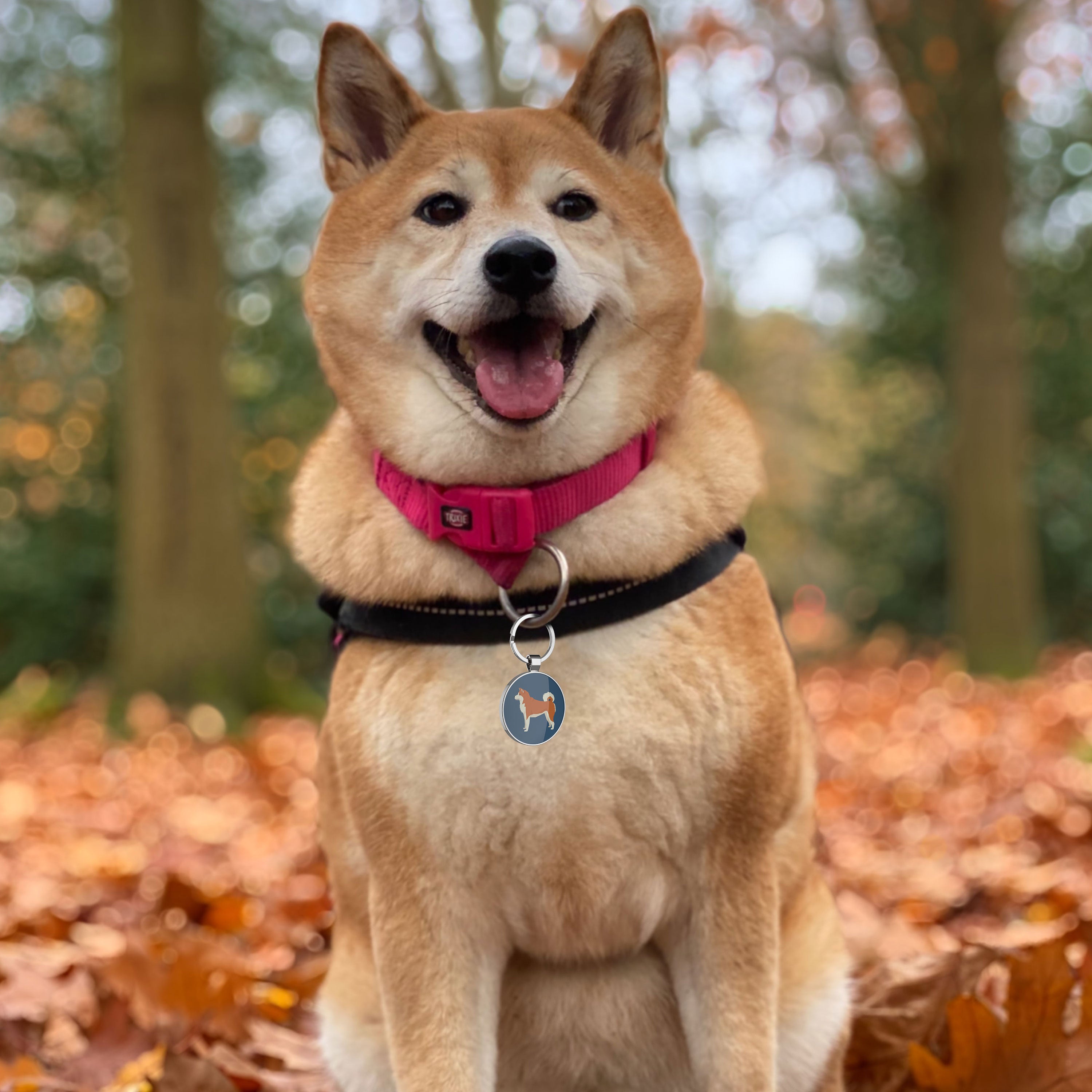 QR code pet tag Dog breeds tags-Akita Inu
