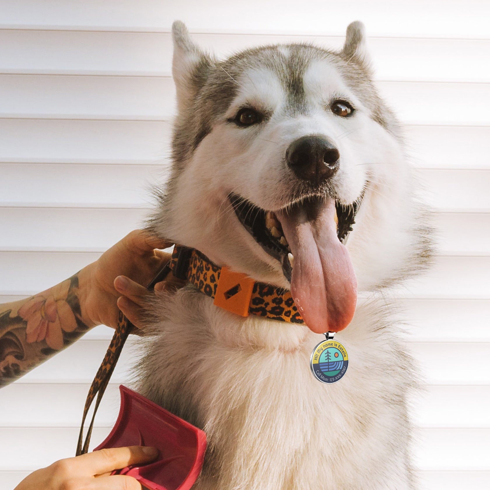 QR code pet tag Adventure tour-NO.160905