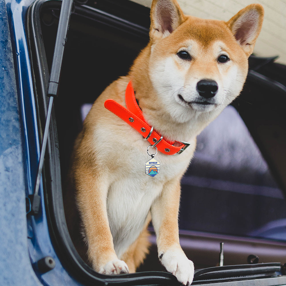 QR code pet tag Adventure tour-NO.160913