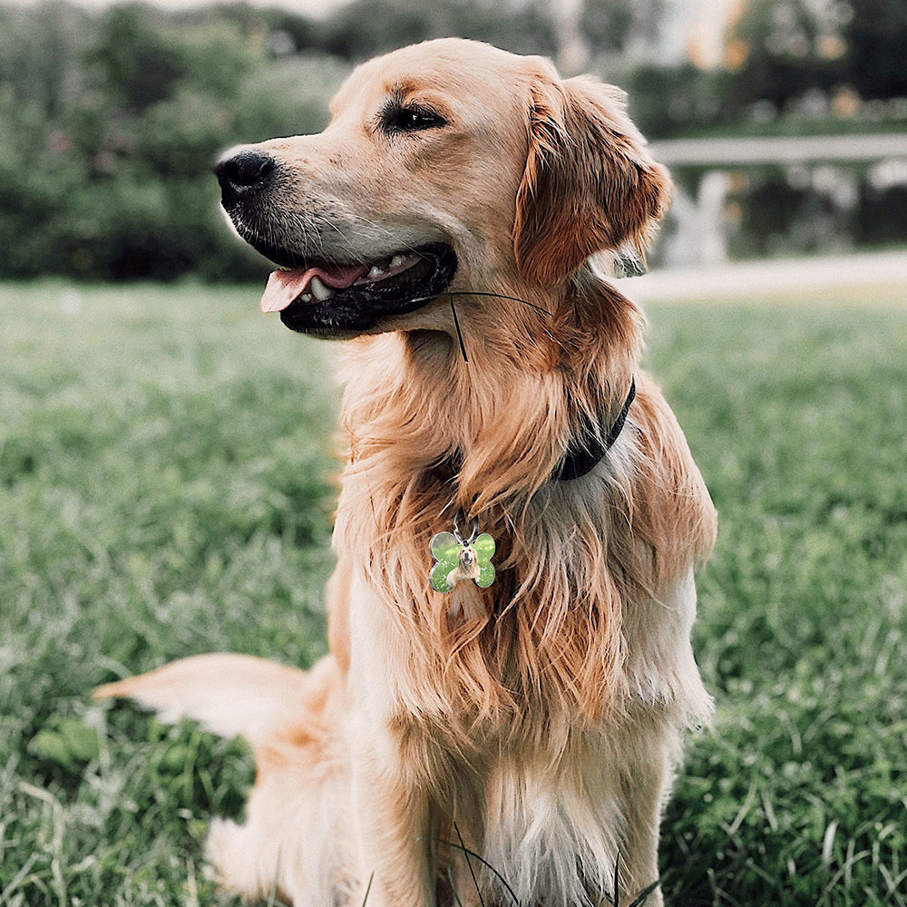 QR code pet tag Any picture-NO.150903