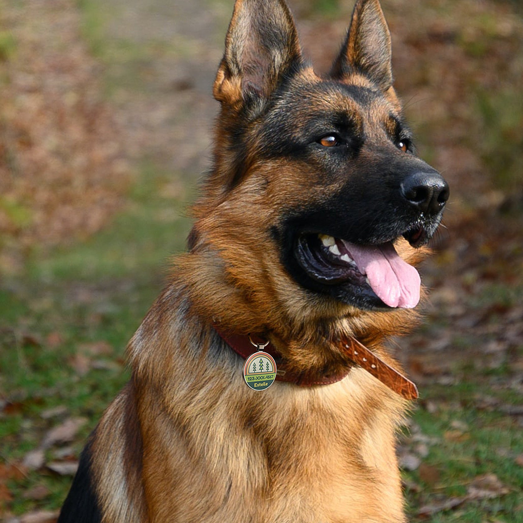 QR code pet tag Adventure tour-NO.160904