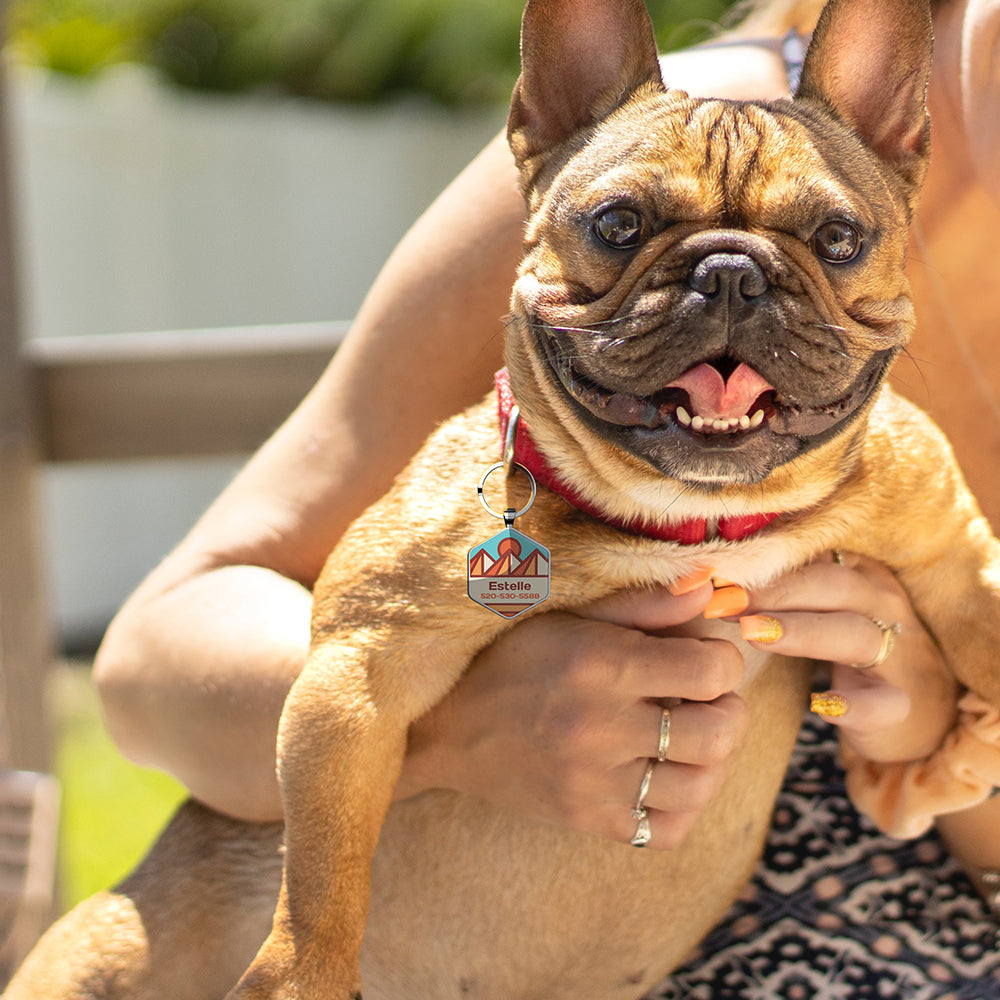 QR code pet tag Adventure tour-NO.160914