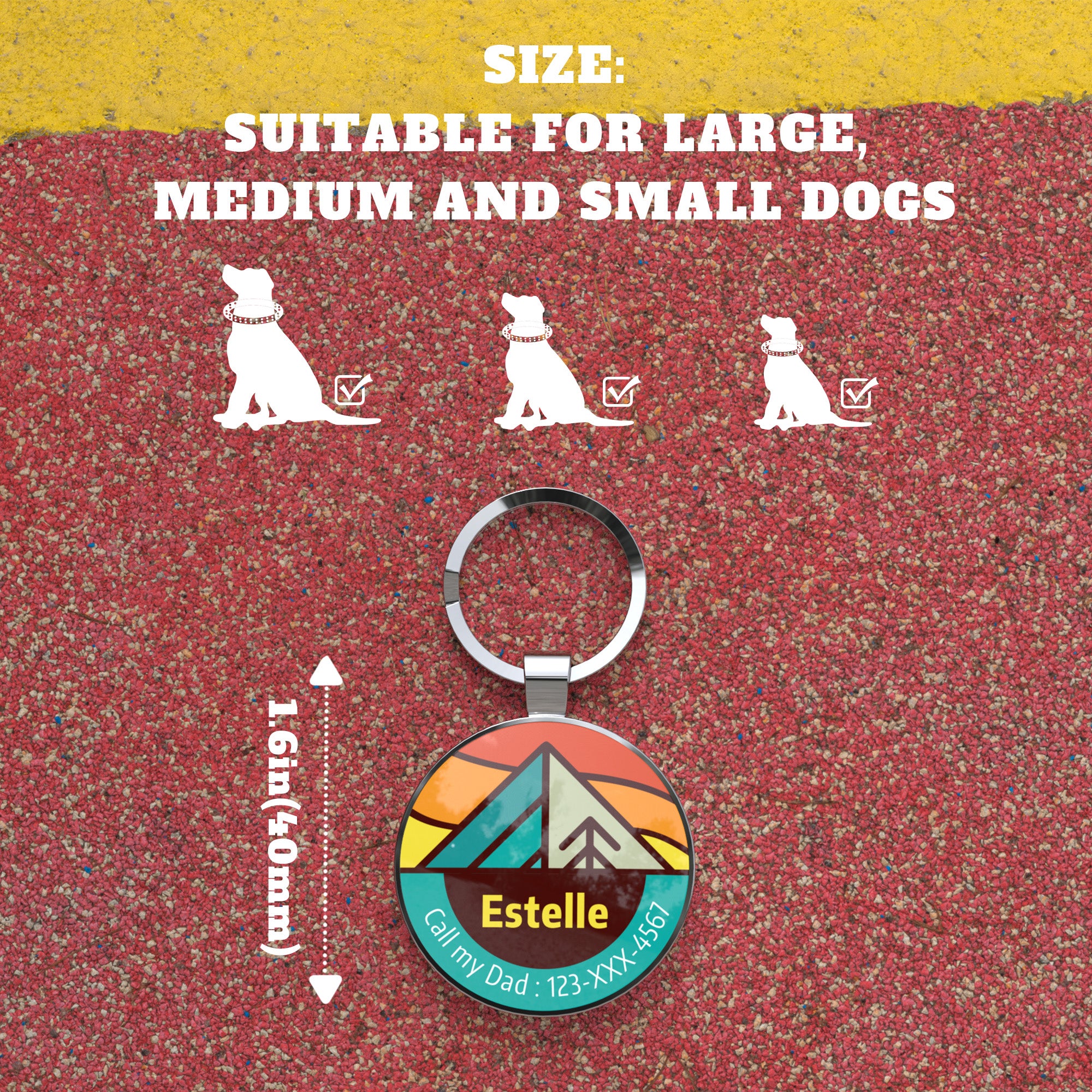QR code pet tag Adventure tour-NO.160908