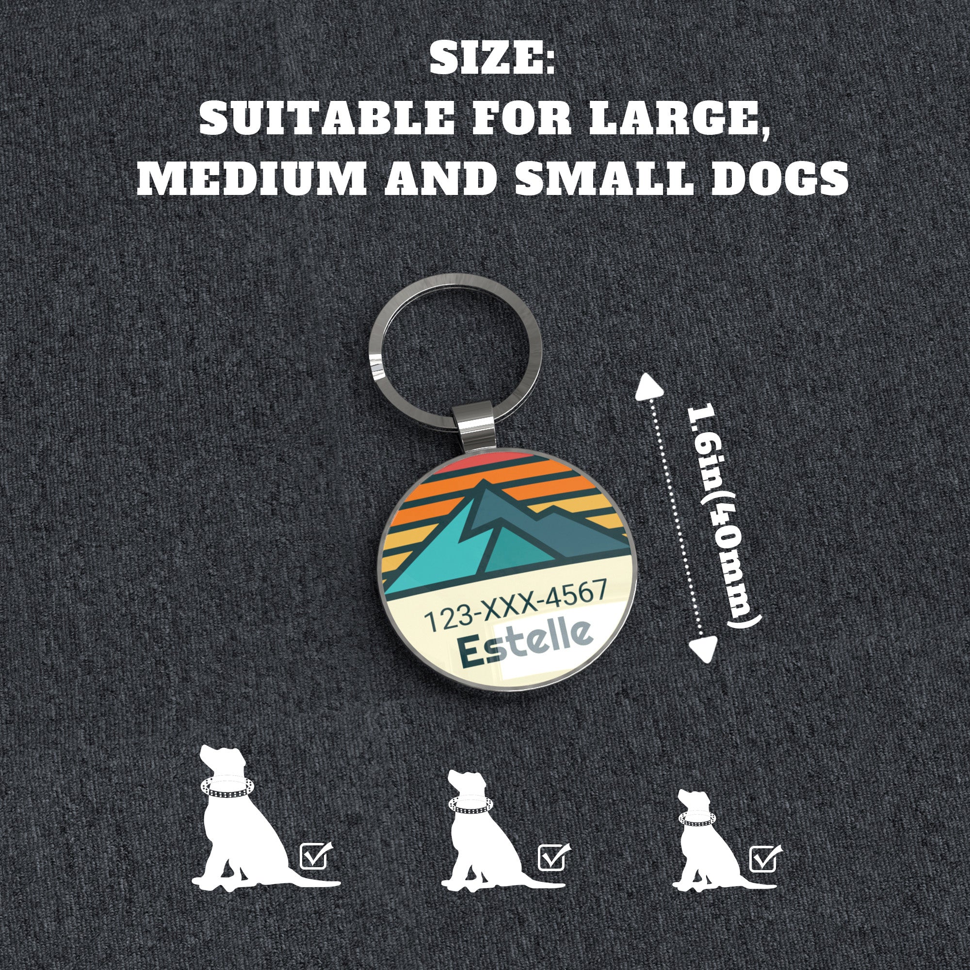 QR code pet tag Adventure tour-NO.160907