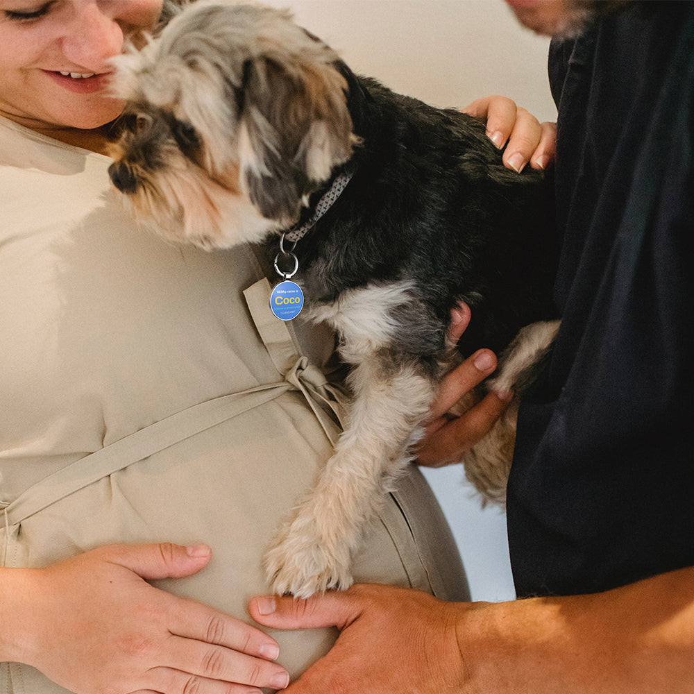 QR code pet tag Colorful text-NO.170905