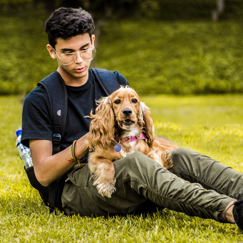 QR code pet tag Colorful text-NO.170903