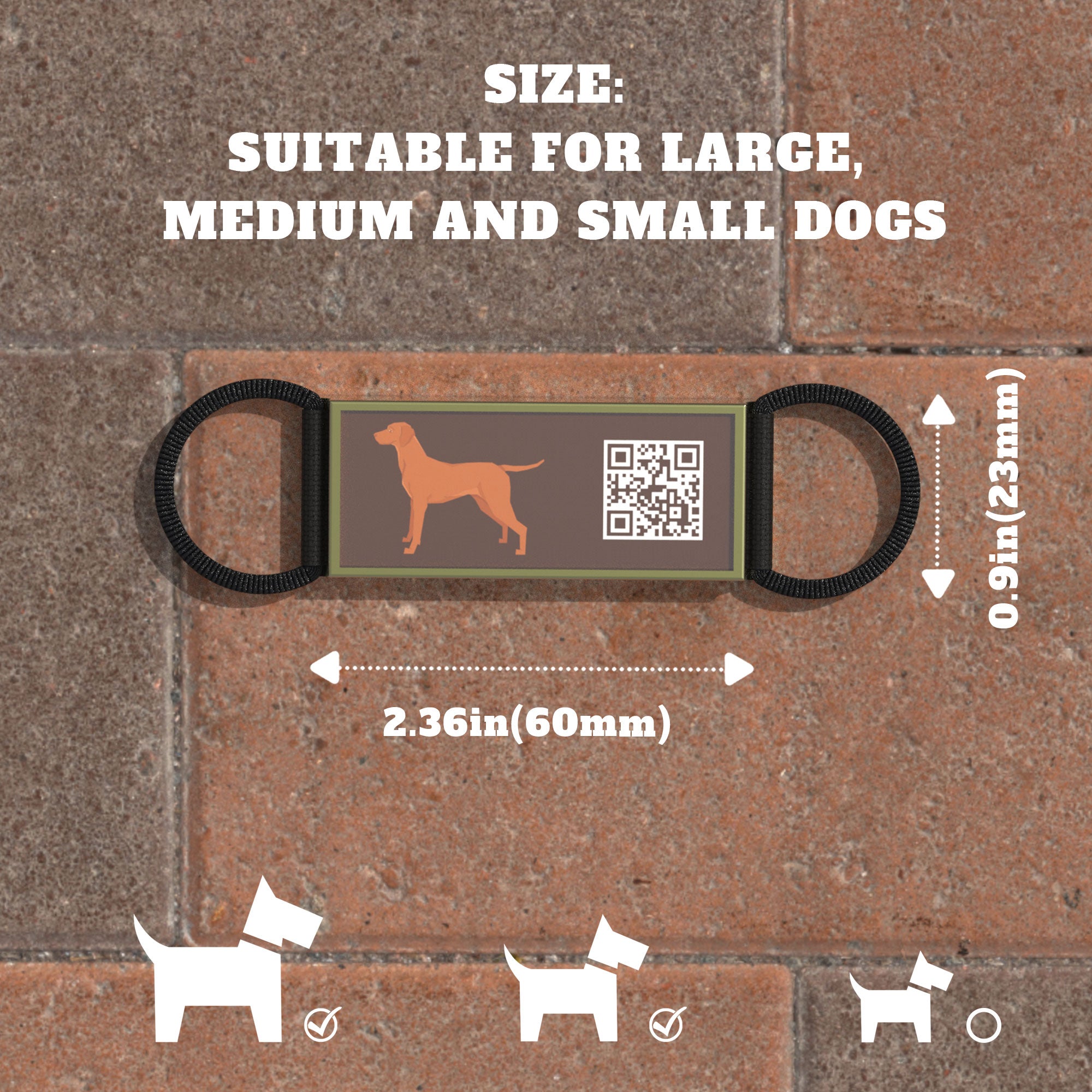 QR code pet tag Silent dog breeds tags-Vizsla