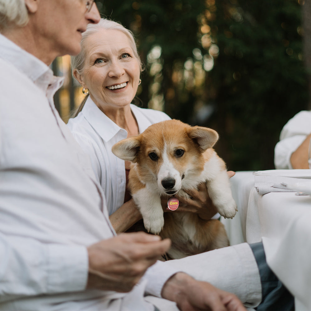 QR code pet tag Colorful text-NO.170909