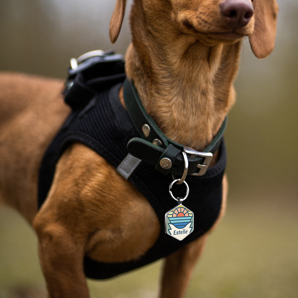 QR code pet tag Adventure tour-NO.160912