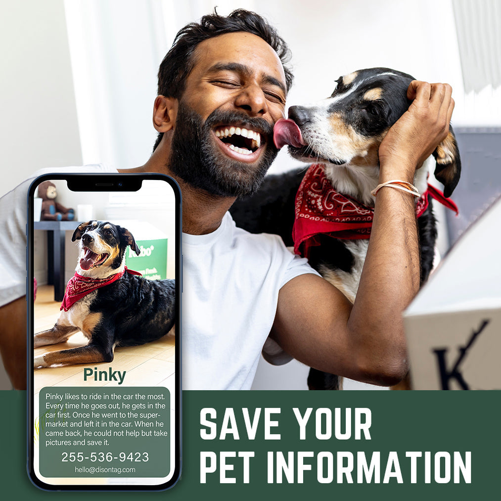 Happy dog and owner outdoors wearing a silent QR dog tag