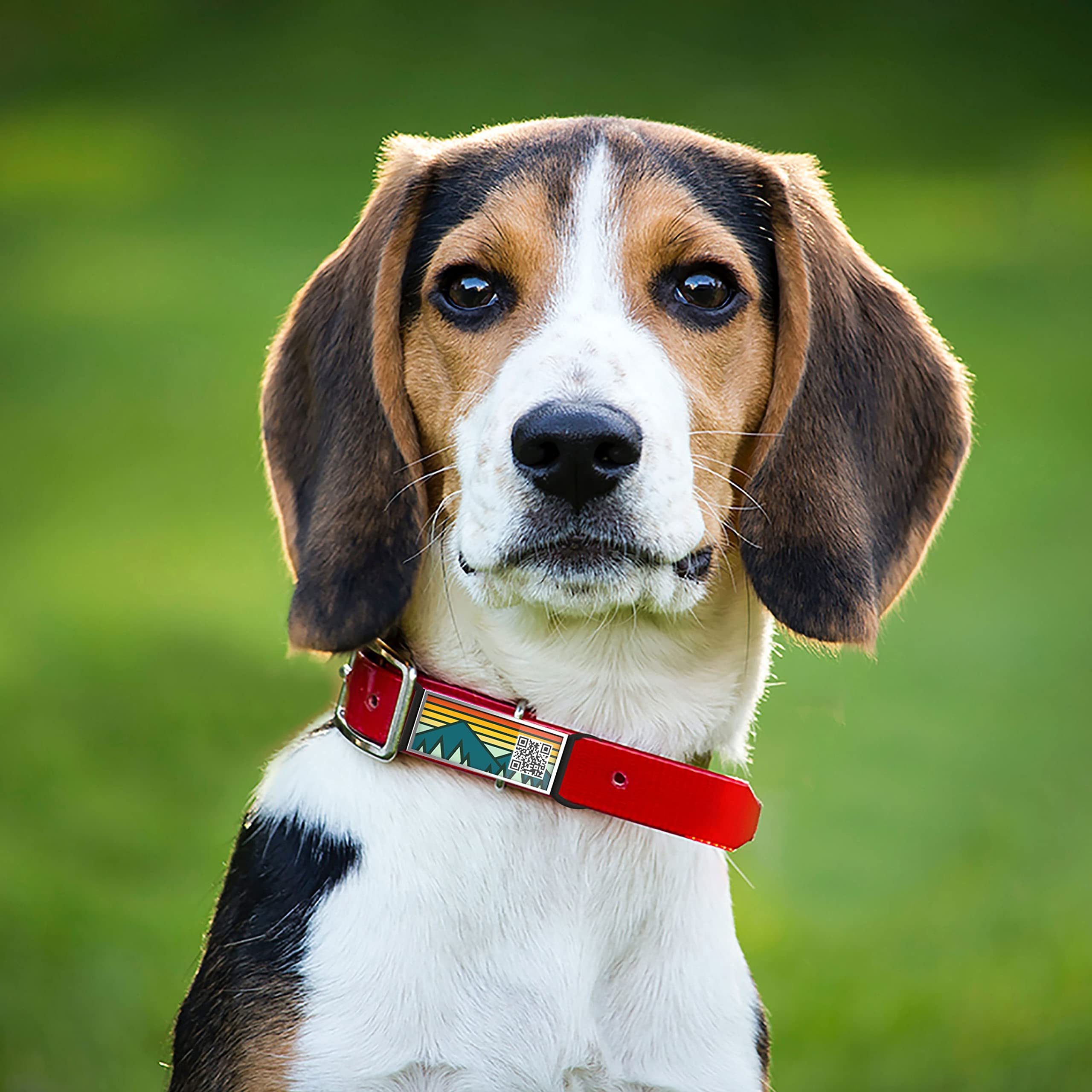 Pet Comfort Science: How to Choose Safe, Pet-Friendly Gear