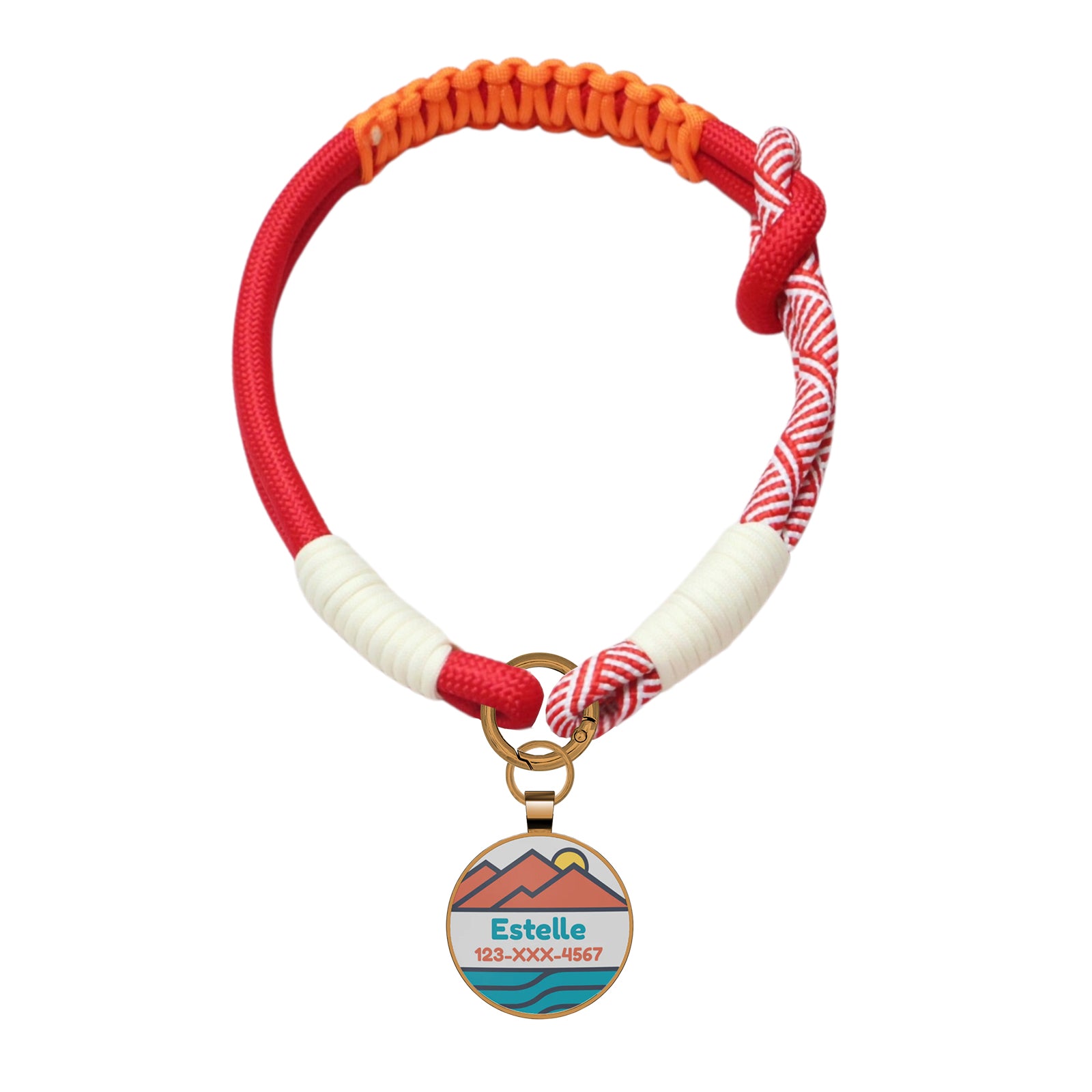 Custom Zinc Alloy QR Pet Tag & Polyester Rope Set- 10