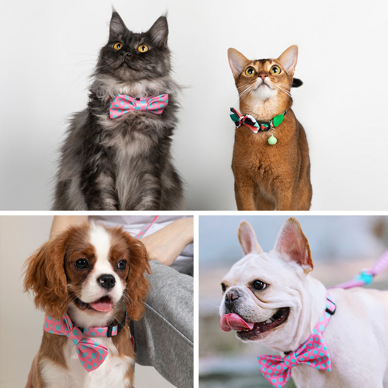DISONTAG Bow Tie for Pets Fun Bow Ties for Dogs & Cats Bowties For Birthday Wedding Parties---BOBBY
