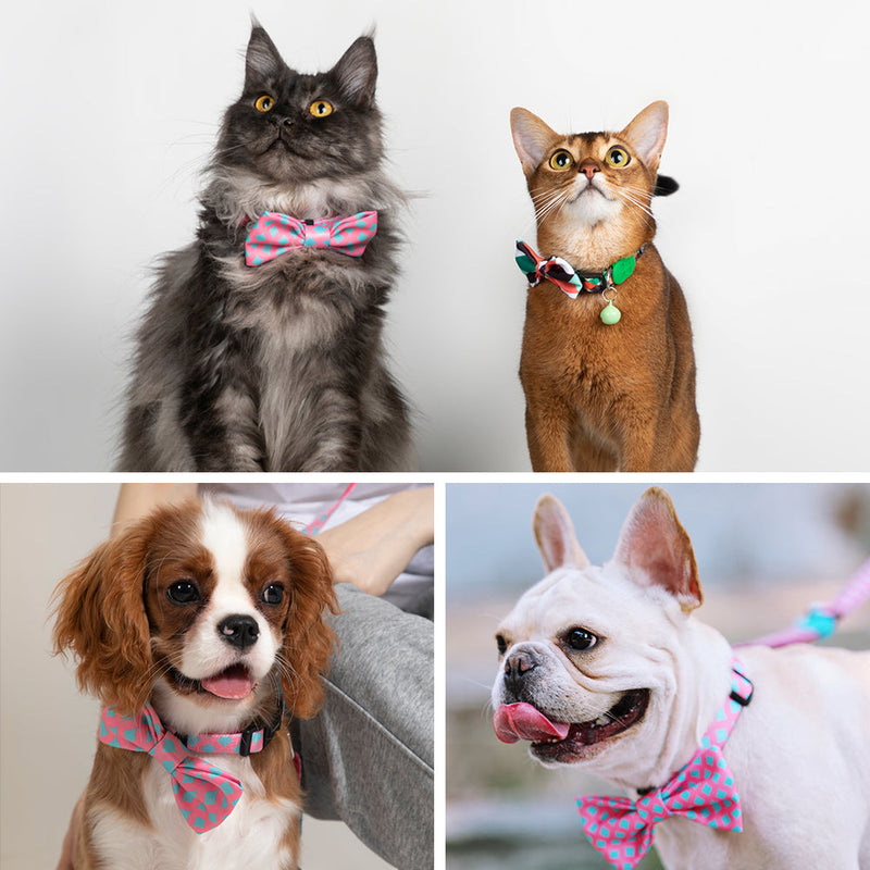 DISONTAG Bow Tie for Pets Fun Bow Ties for Dogs & Cats Bowties For Birthday Wedding Parties ---POP