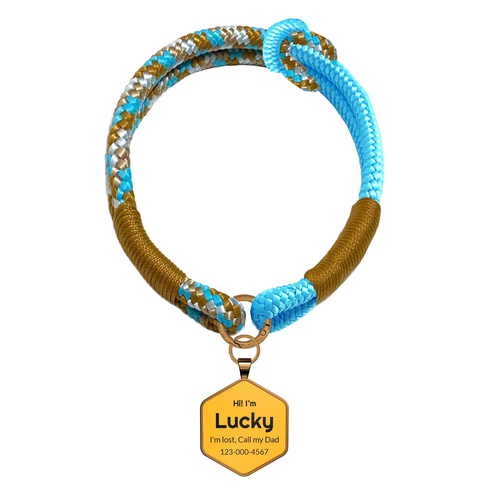 Custom Zinc Alloy QR Pet Tag & Polyester Rope Set- 12