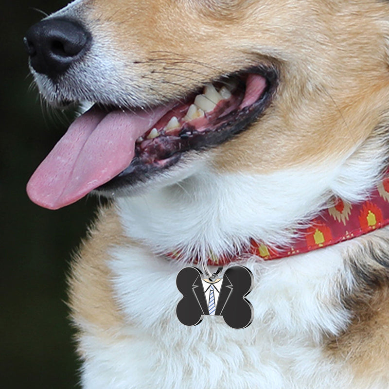 Dog collar best sale with bone tag
