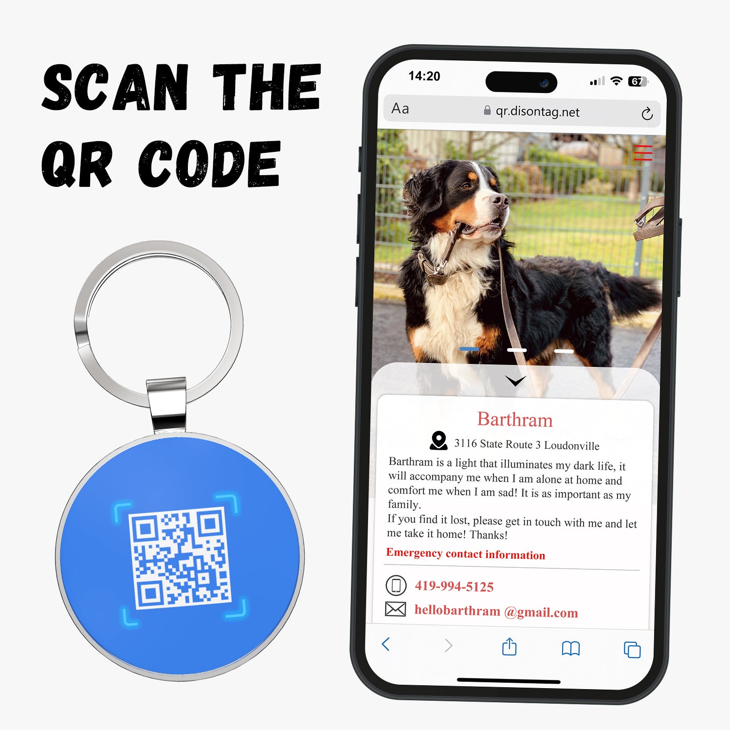 Pet id me clearance