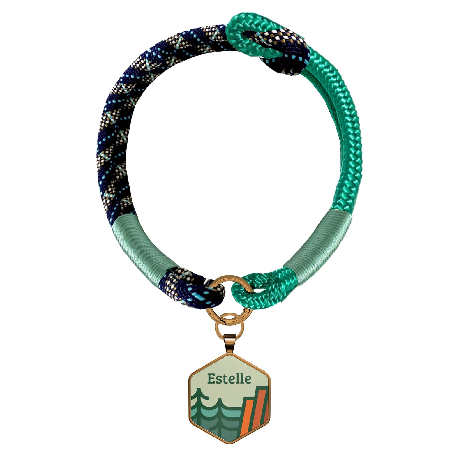 Custom Zinc Alloy QR Pet Tag & Polyester Rope Set- 17
